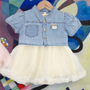 Baby Girl Frock with Denim Top
